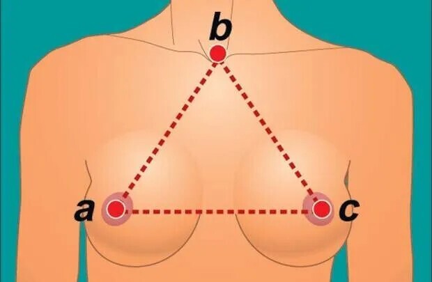 Интересные научные факты о женской груди