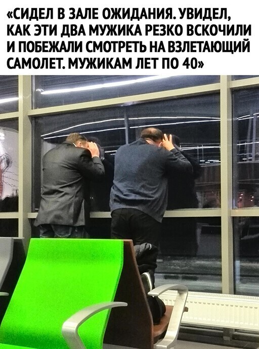 Смешные и познавательные картинки