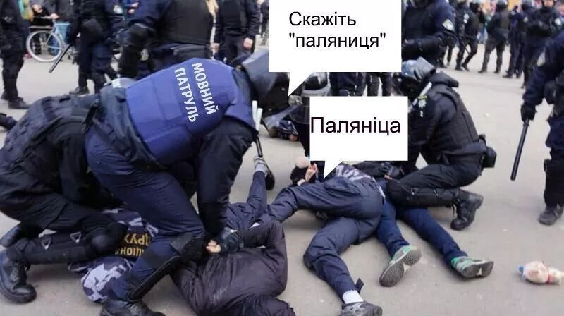 КАК СВИДОМЫЕ МОВНЫЙ ЗАКОН ЗАЩИЩАЛИ