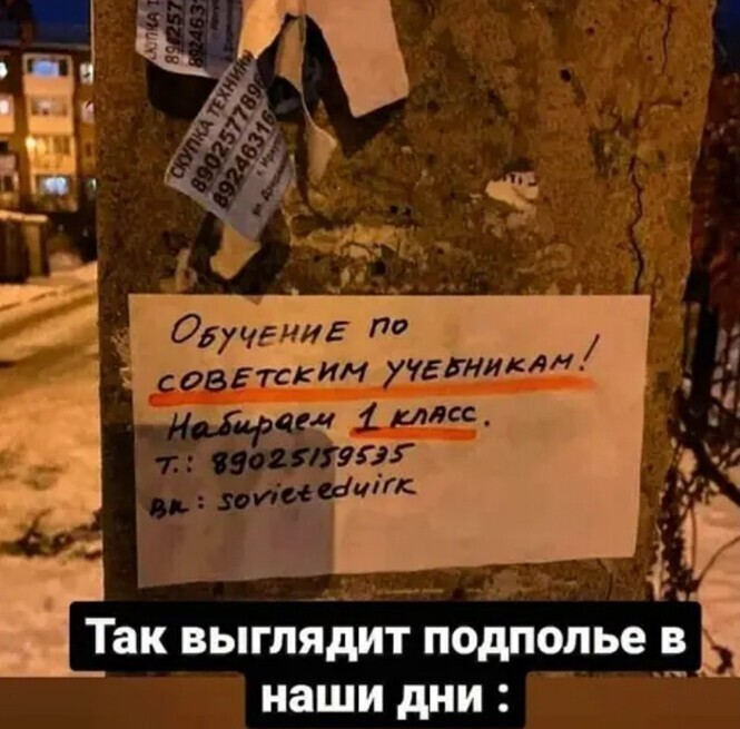 Смешные и познавательные картинки