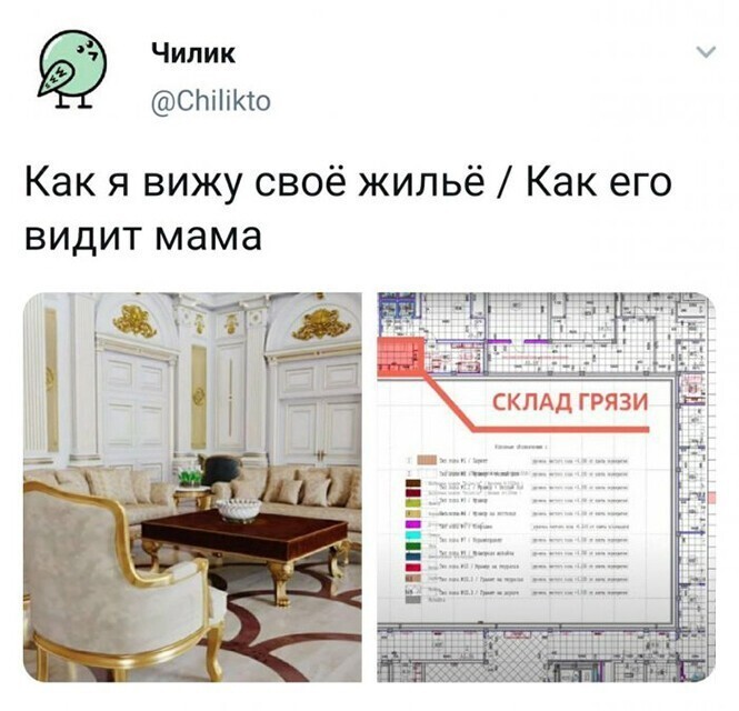 Смешные и познавательные картинки