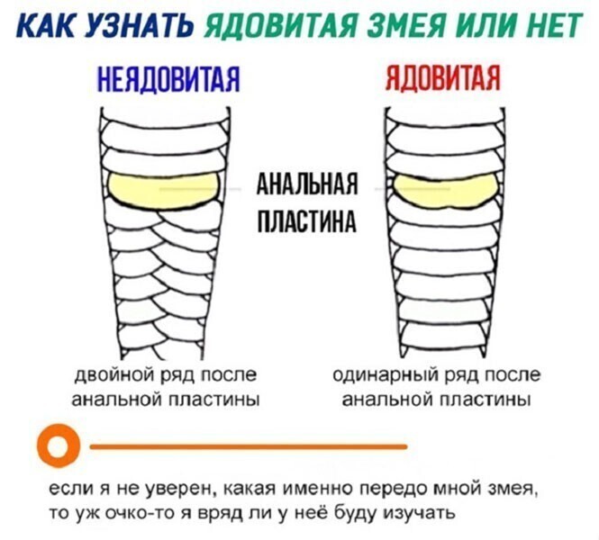 Скрины из соцсетей