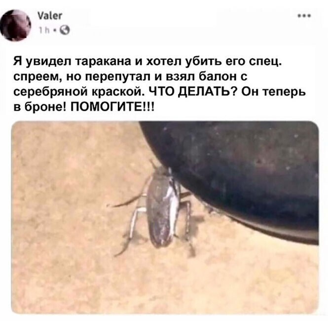 Скрины из соцсетей