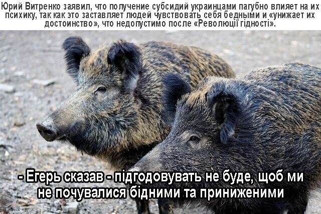 Политические комментарии и другой разный юмор с сарказмом и без