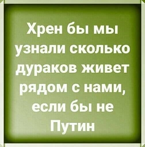 О политике и не только