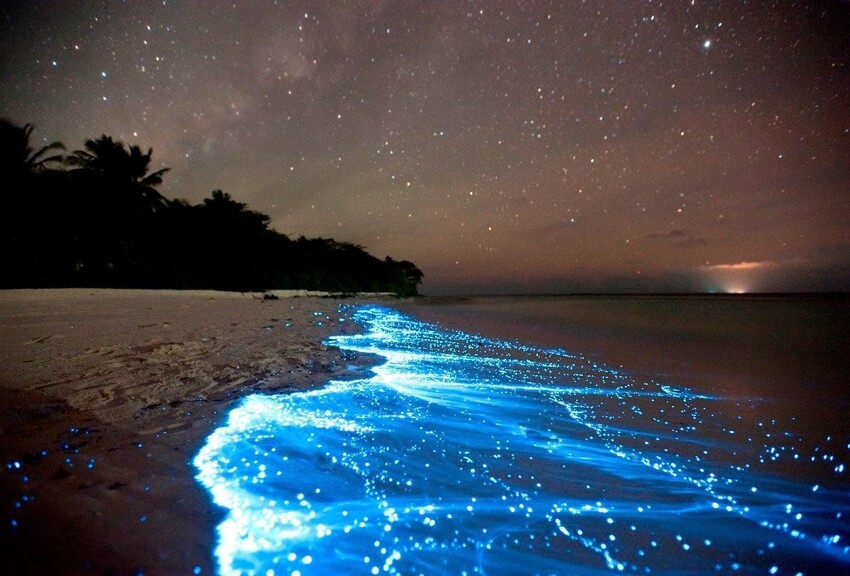 Биолюминесцентный планктон, остров Ваадху, Мальдивы