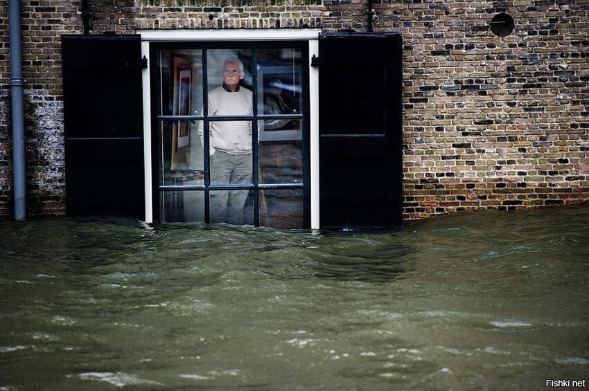 Житель города Дордрехт смотрит в окно своего дома на наводнение, Голландия