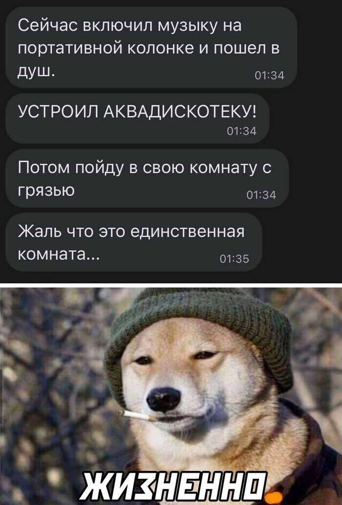 Скрины из соцсетей