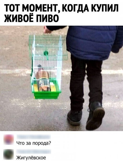 Скрины из соцсетей