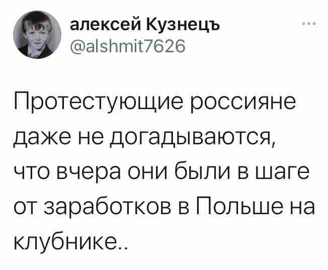 О политике и не только