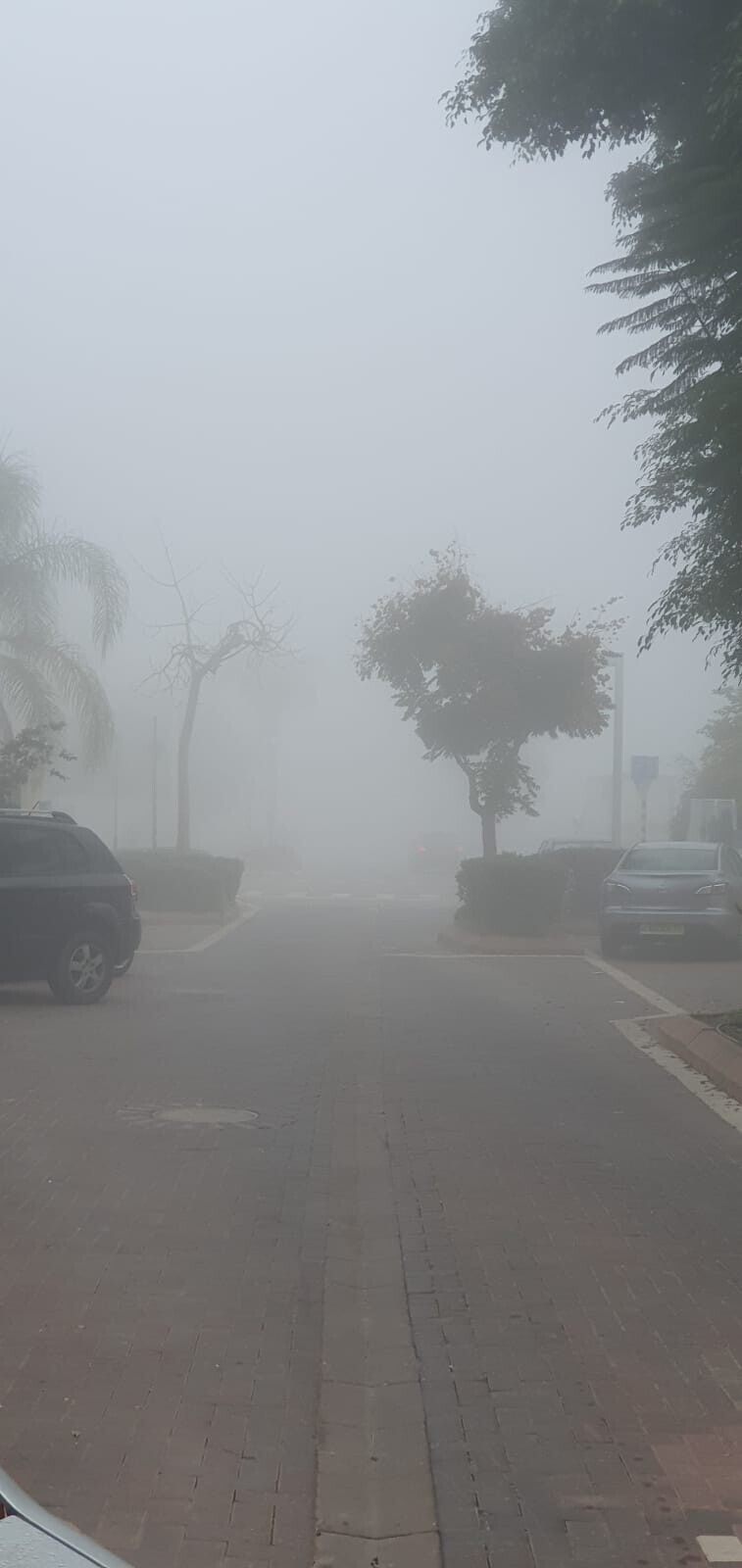 Смачный туман в Тель-авиве