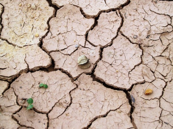 По прогнозам ученых, к 2100 году человечество столкнется с экстремальной засухой