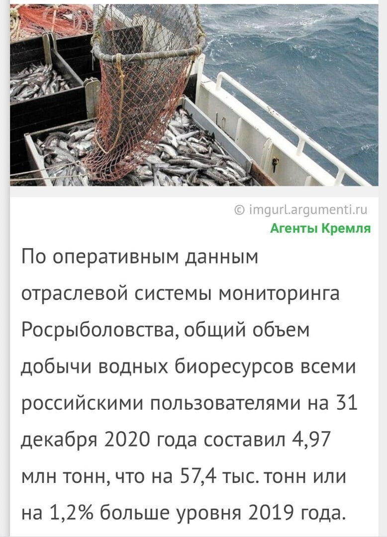 Политические комментарии и другой разный юмор с сарказмом и без