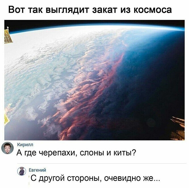 Смешные и познавательные картинки