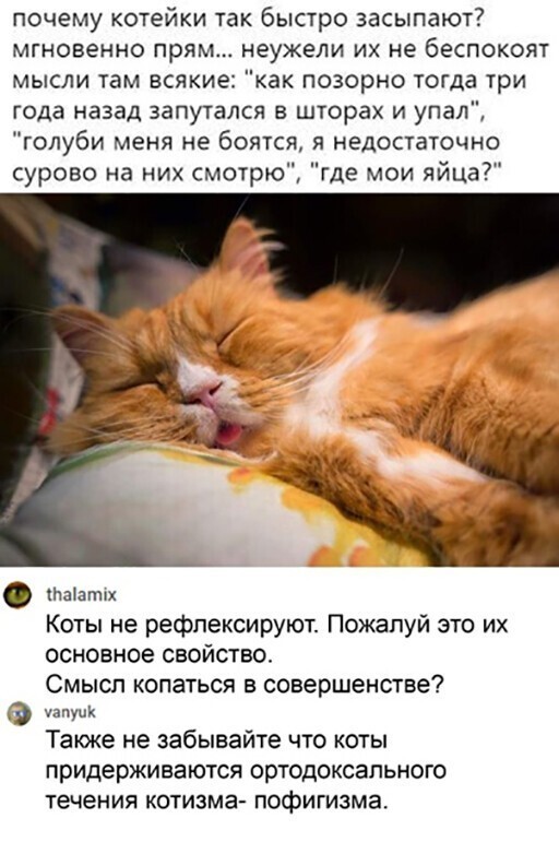 Смешные и познавательные картинки