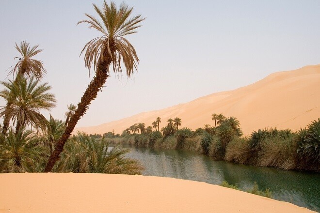 Настоящее сокровище Сахары