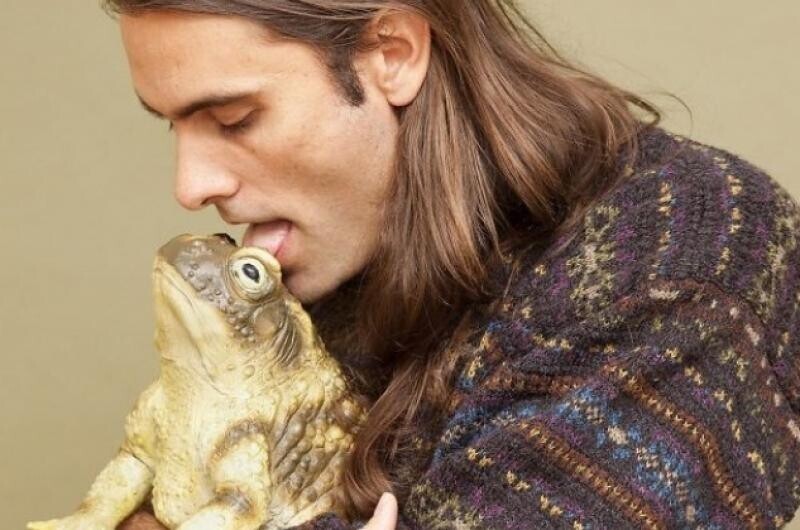 В штате Кентукки запрещается лизать-целовать жаб