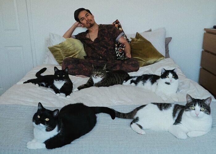 Парень обнаружил под кроватью кошку с котятами, а сейчас они - большая семья