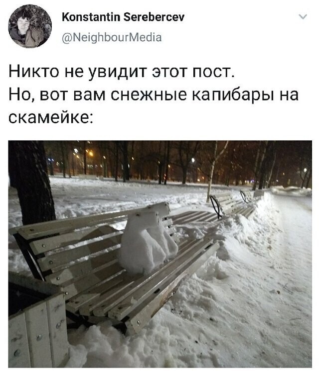 Скрины из соцсетей