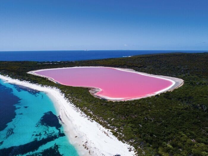 14. Озеро Спенсер в Австралии. Это его обычный цвет
