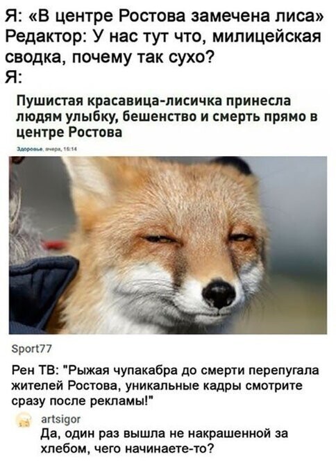 О политике и не только