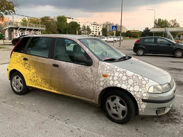 Автовсячина