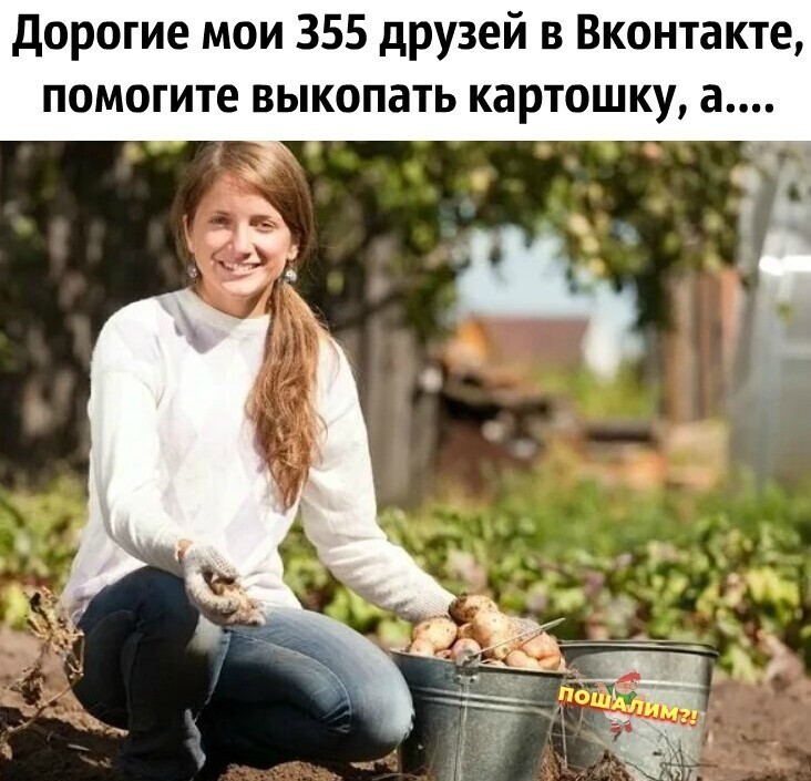 Веселые  картинки