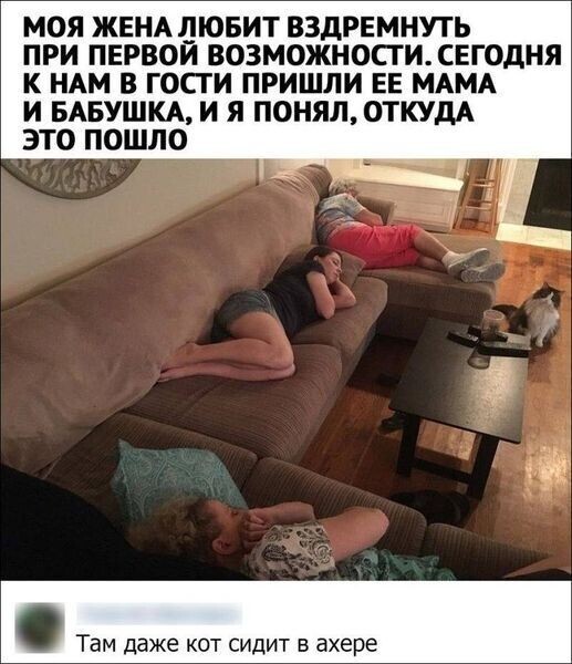 Веселые  картинки