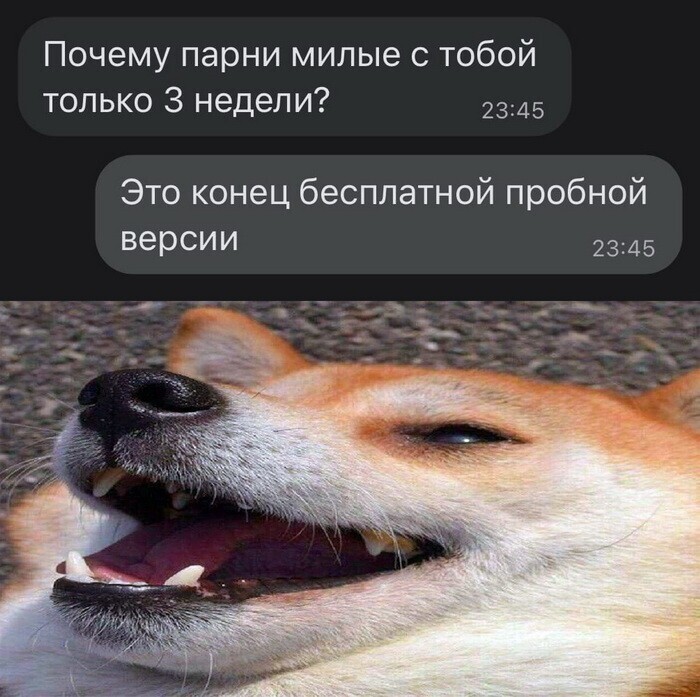 Скрины из соцсетей