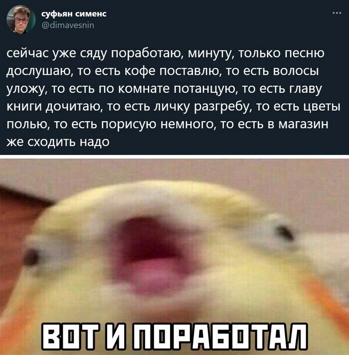 Скрины из соцсетей