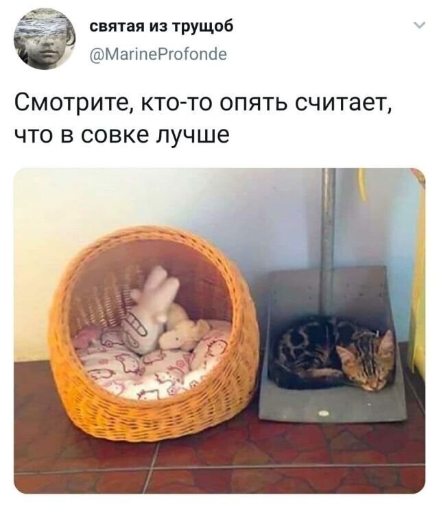 Скрины из соцсетей