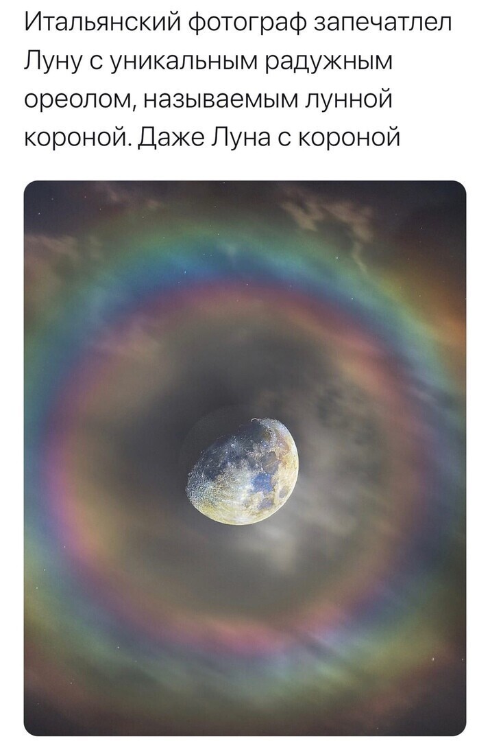 Политические комментарии и другой разный юмор с сарказмом и без