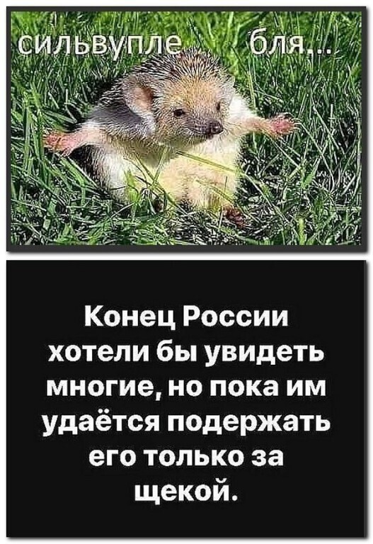 Политические комментарии и другой разный юмор с сарказмом и без = 2