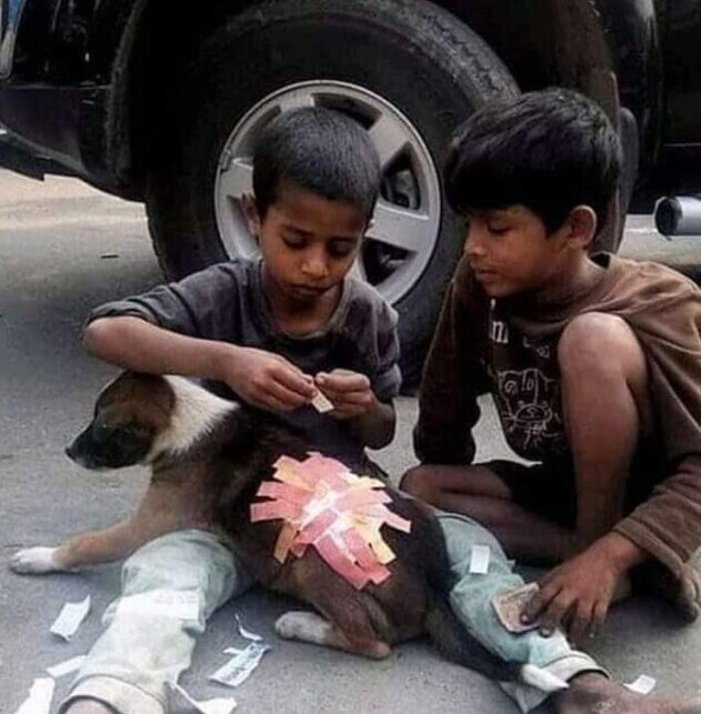Два индийских мальчика собрали деньги на пластырь и повязку, чтобы перевязать рану бездомного щенка