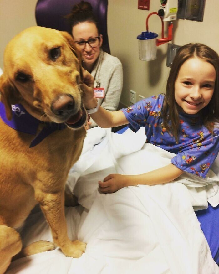 "Эта собака-терапевт несколько раз встречалась с нашей дочкой перед операцией. Она очень помогла дочери, и она совсем не боялась ничего благодаря ей"