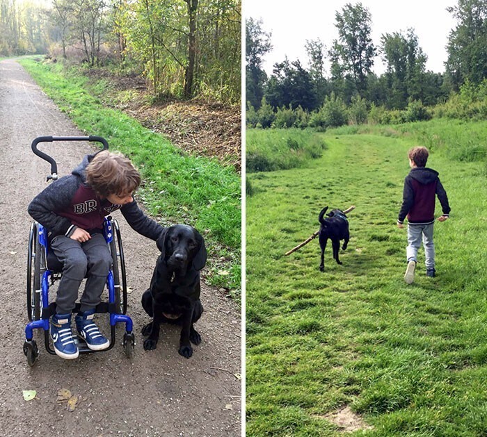 "8 месяцев назад у нашего сына, который передвигался на инвалидном кресле, появилась собака. Сын просил ее, потому что верил, что она поможет ему стать сильнее. И он был прав"
