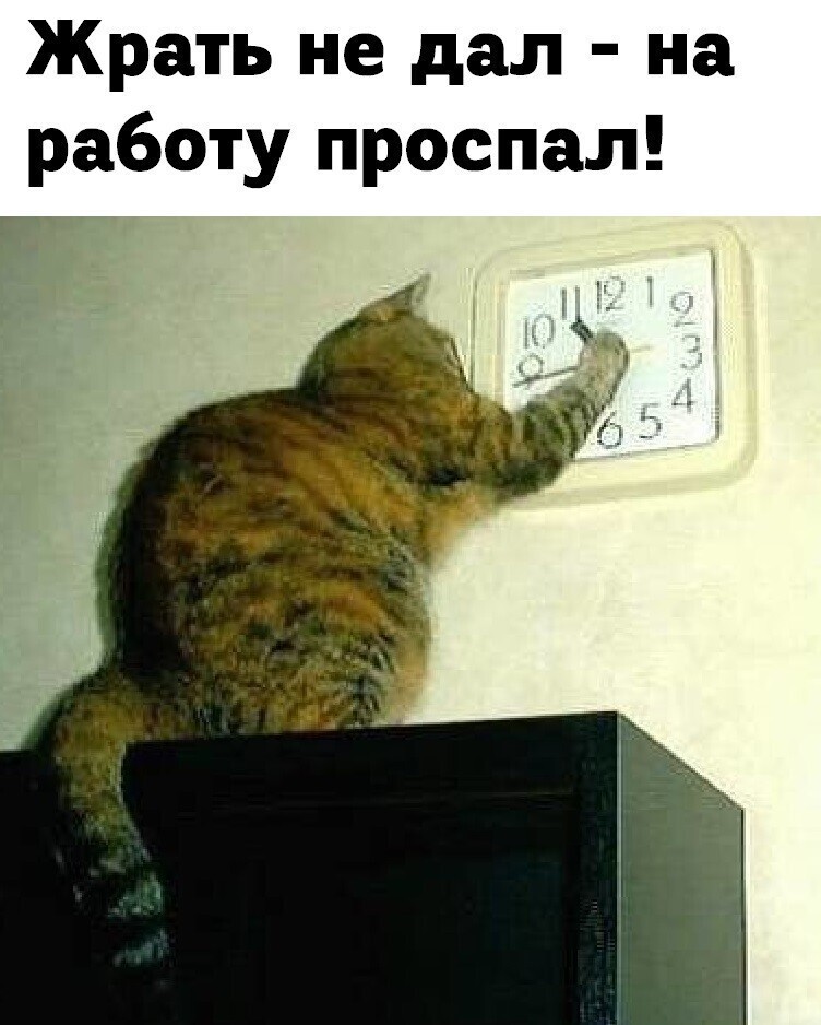 Веселые  картинки