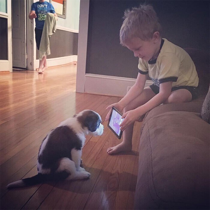 «Сказал сыну, чтобы тот глянул пару роликов о том, как нужно дрессировать собаку».