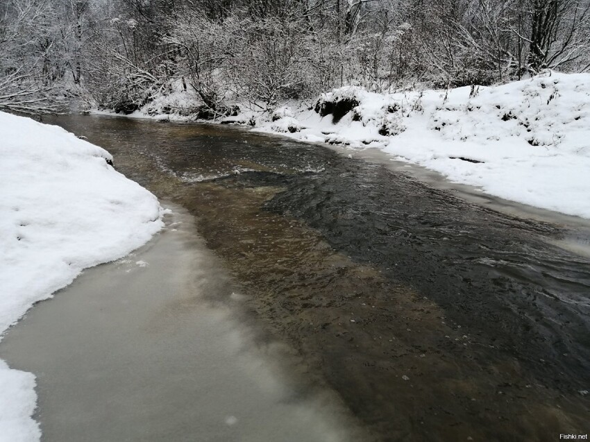 Маленькая речка вскрылась ото льда