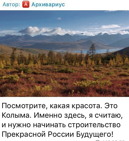 О политике и не только