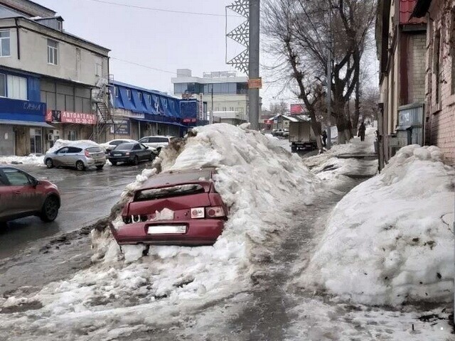 Автовсячина