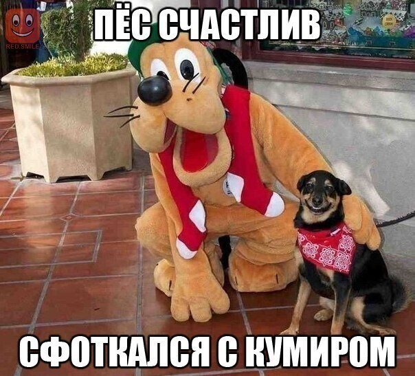 Веселые  картинки