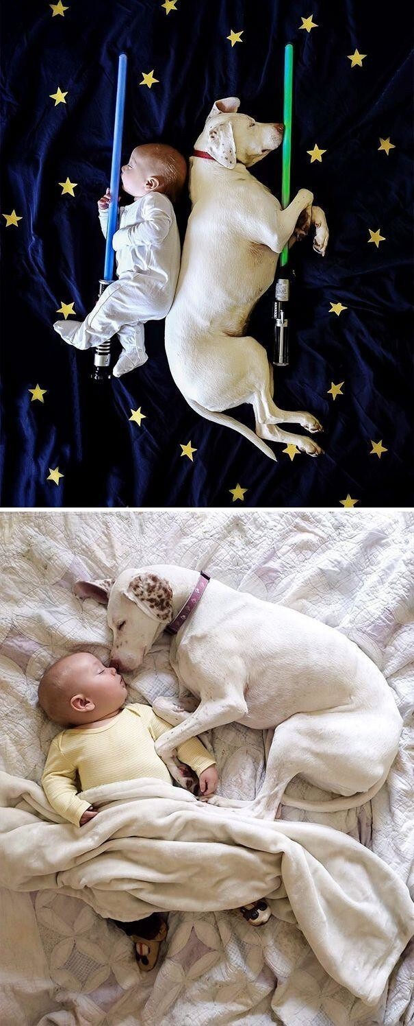 "Собака — лучший приятель по сну для нашего 8-месячного сына"