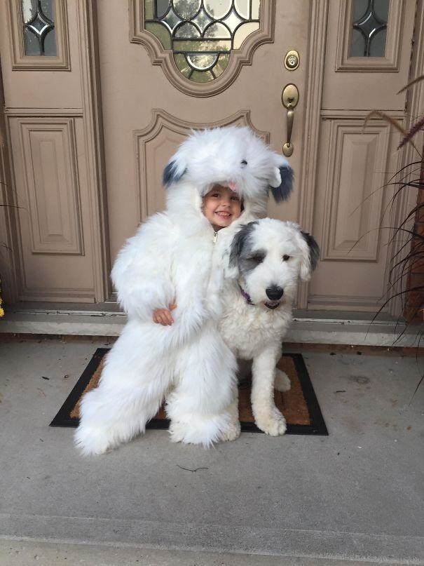 "Дочь настояла на том, чтобы одеться в костюм нашей собаки на Хэллоуин"