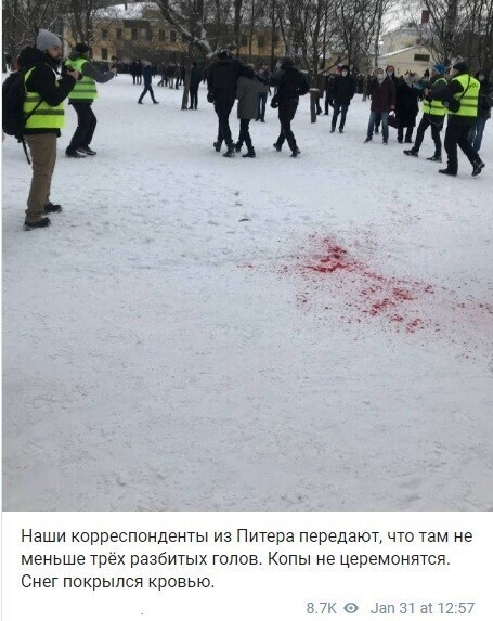 Петербургские оппозиционеры нашли реки крови на митинге