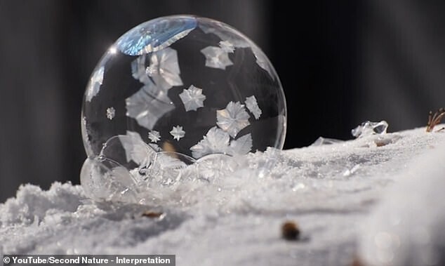 Вот что происходит с мыльными пузырями на морозе!