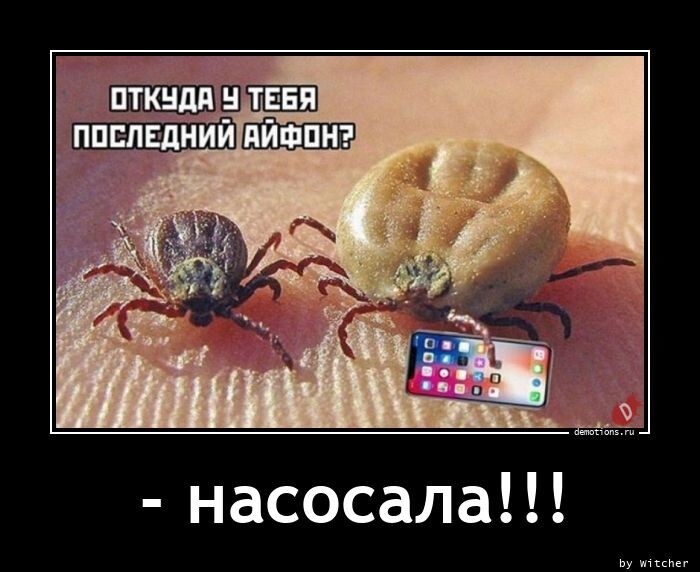 Насосала