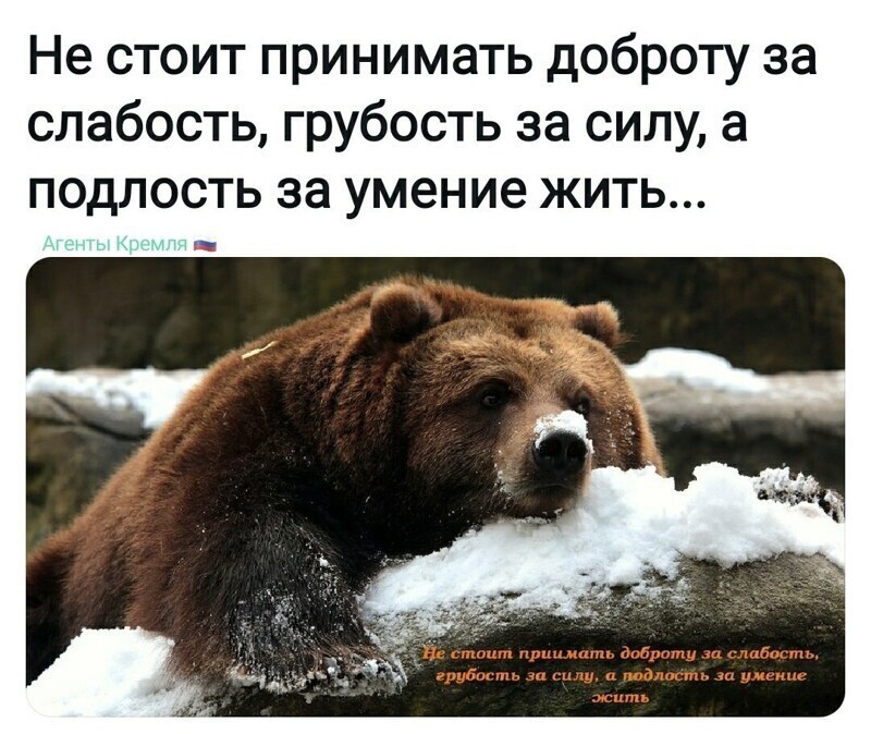 Политические комментарии и другой разный юмор с сарказмом и без