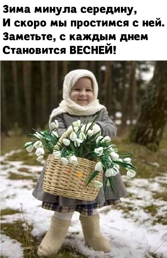 Веселые  картинки