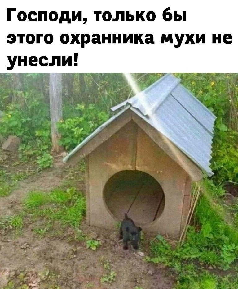 Веселые  картинки